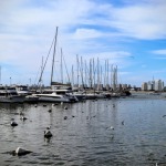 Maldonado: Paraíso Natural